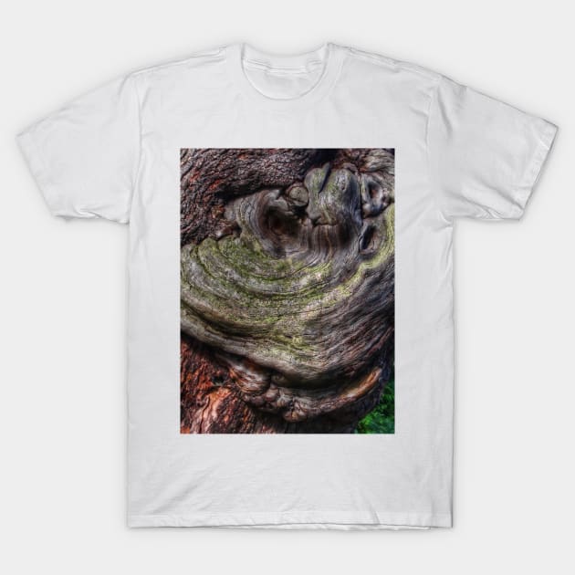 Tree Knot T-Shirt by avrilharris